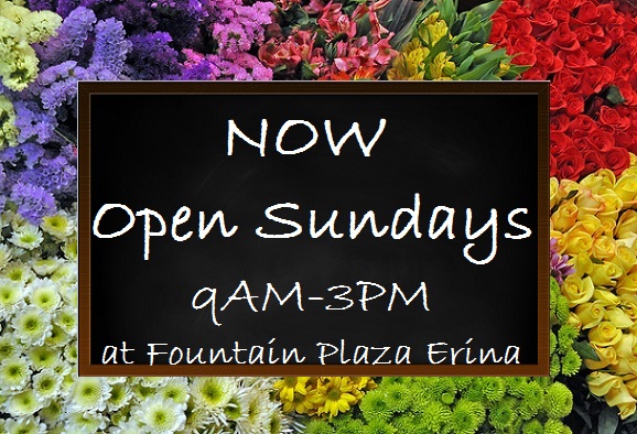OPEN SUNDAYS