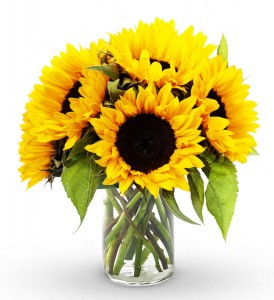Boydita Flowers Delivered Sunflowers 