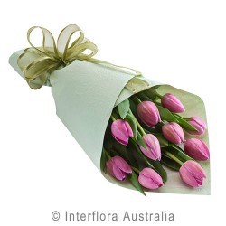 tulips