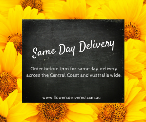 Boydita Flowers Delivered Same Day Delivery