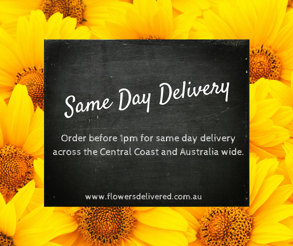 Boydita Flowers Delivered Same Day Delivery