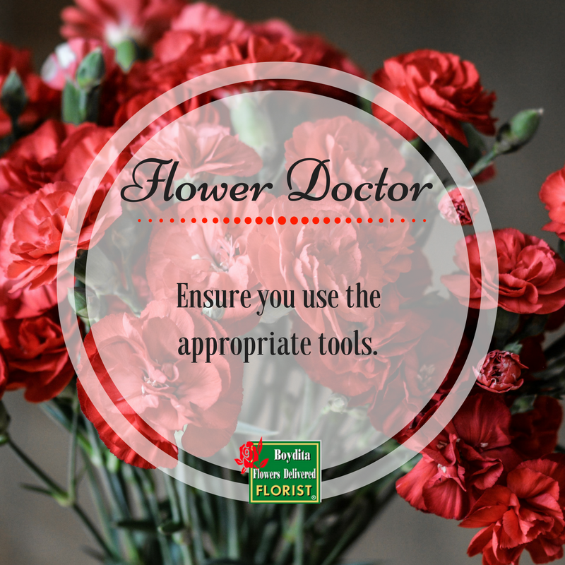 5. Friday Flower Doctor